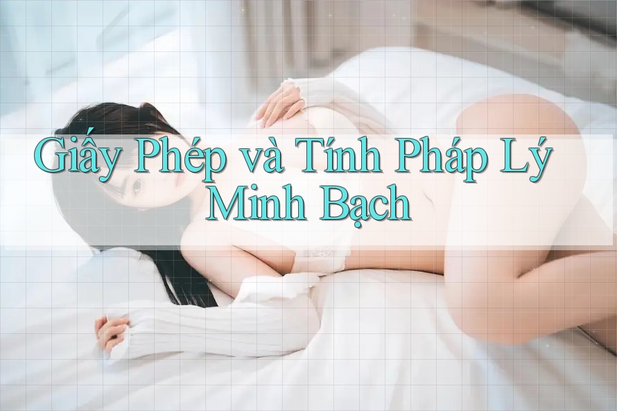 Giấy Phép và Tính Pháp Lý Minh Bạch