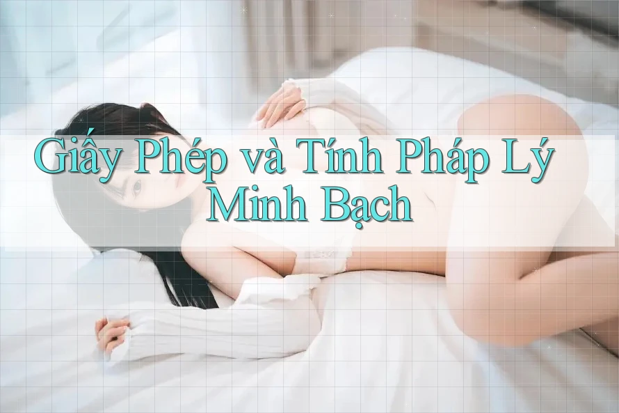 Giấy Phép và Tính Pháp Lý Minh Bạch Giấy Phép và Tính Pháp Lý Minh Bạch