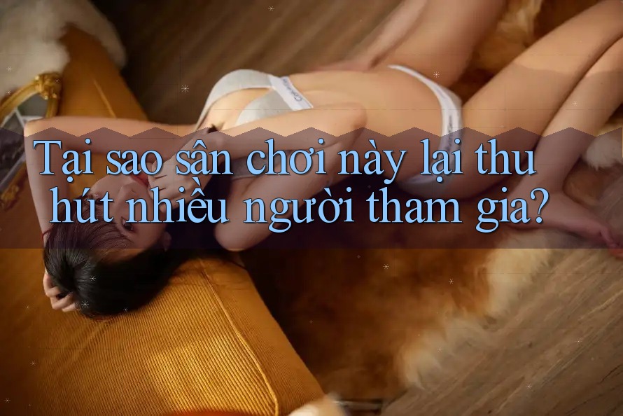 Tại sao sân chơi này lại thu hút nhiều người tham gia?